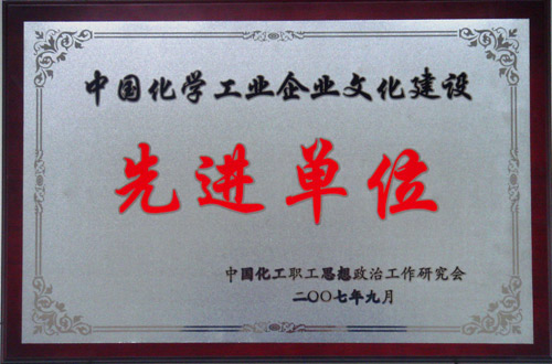 中国化学工业华体会官方端网站登录入口建设先进单位